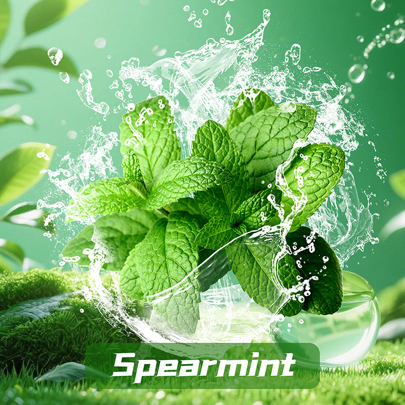 Spearmint