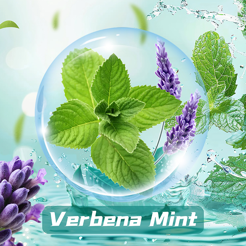 Verbena Mint